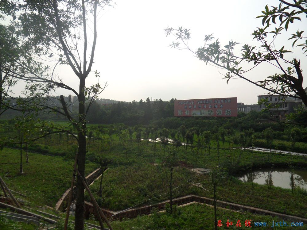 SDC12414.jpg