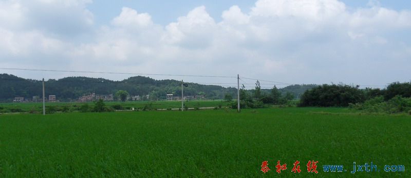 SDC12528.jpg