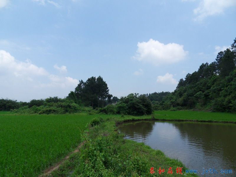 SDC12527.jpg
