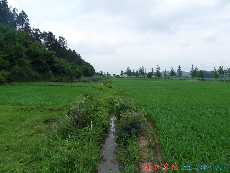 SDC12525.jpg