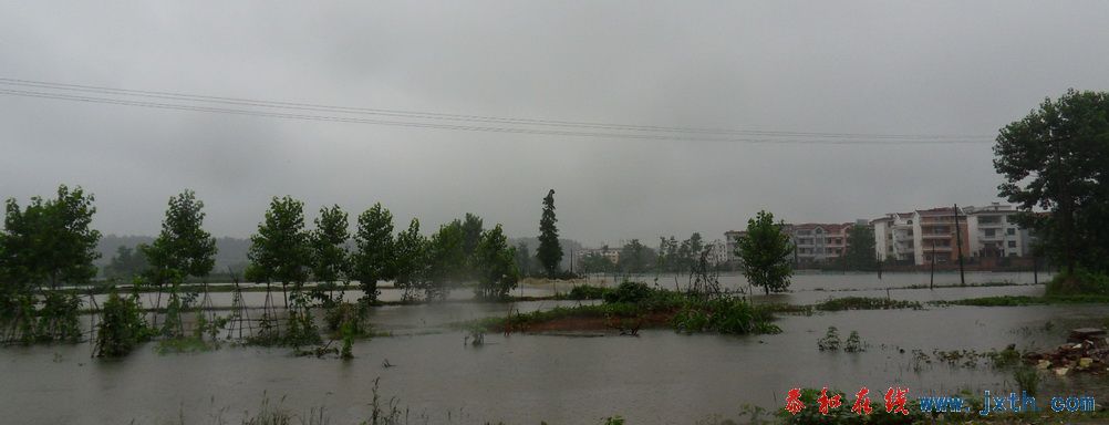 SDC12997.jpg