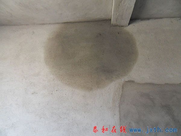 SDC12198.jpg