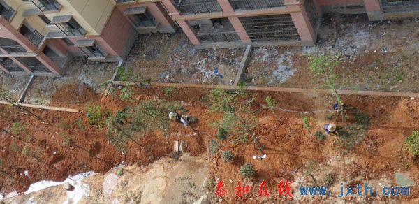 SDC12182.jpg