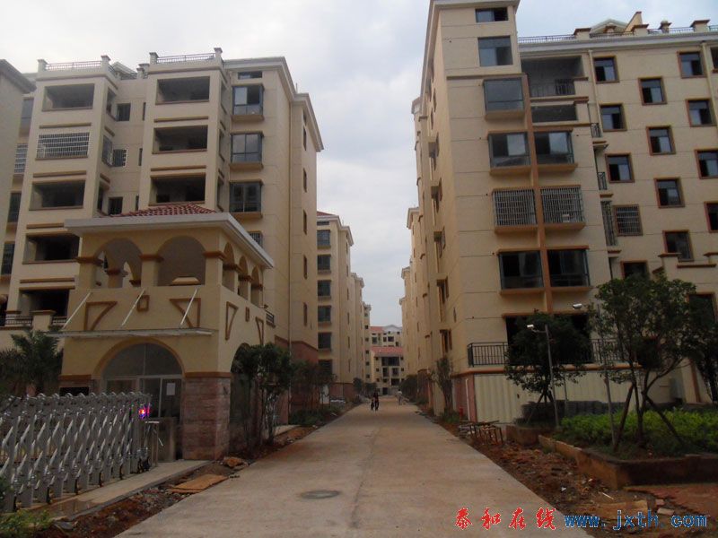 SDC12512.jpg