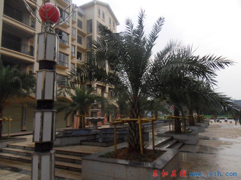 SDC12513.jpg