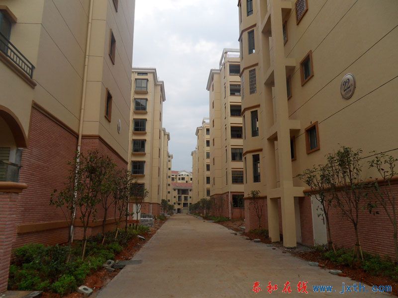 SDC12484.jpg