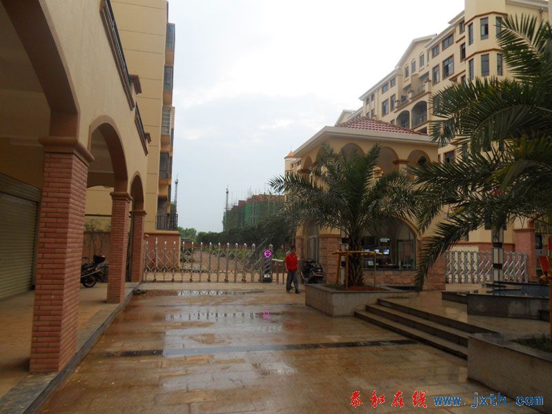 SDC12483.jpg