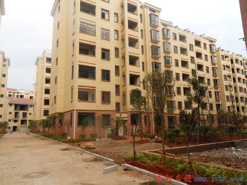 SDC12493.jpg
