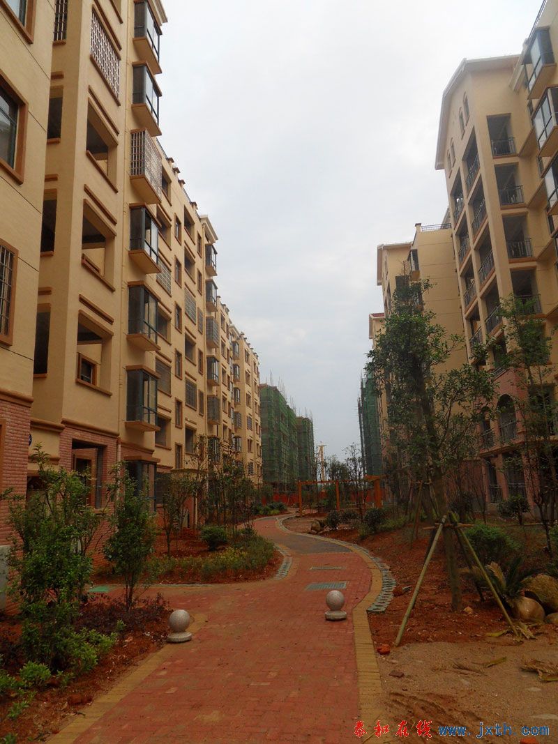 SDC12498.jpg