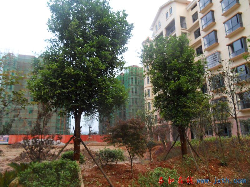 SDC12502.jpg
