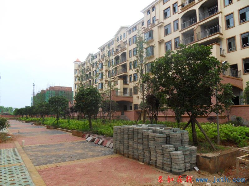 SDC12487.jpg