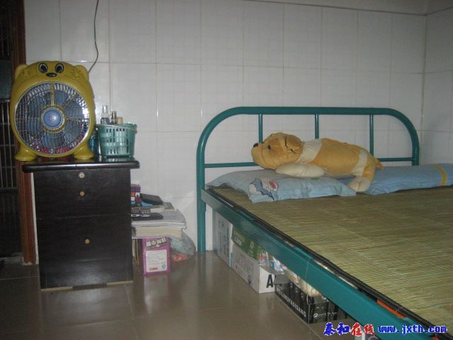 Ƭ 046.jpg