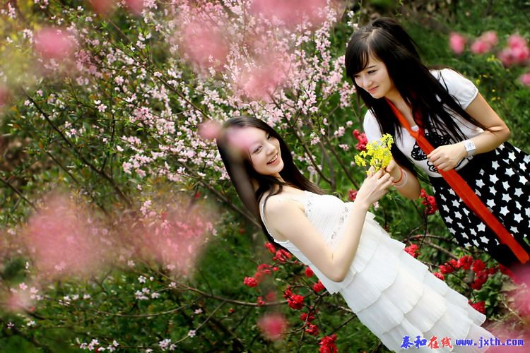 3092086_0800.jpg