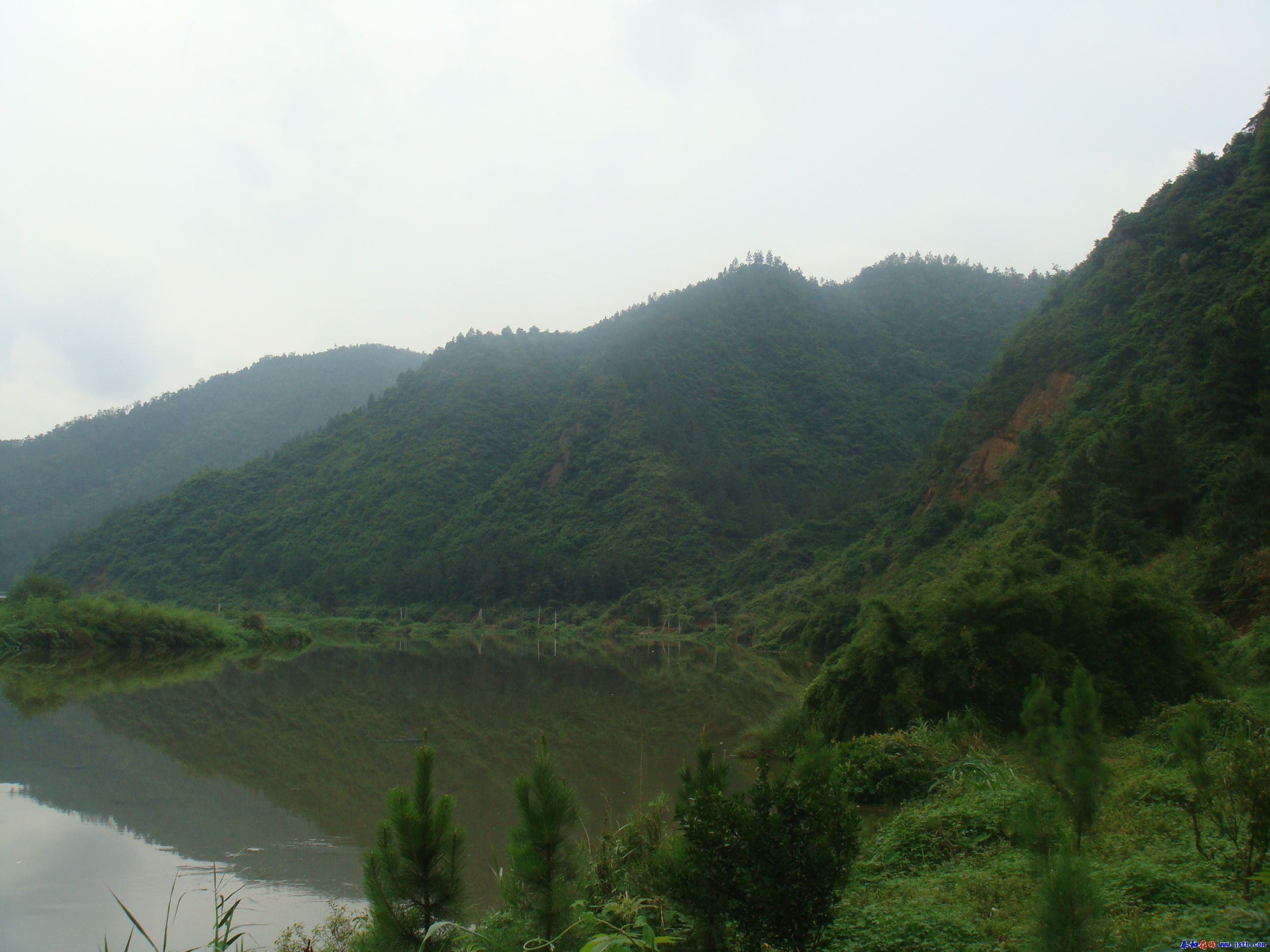 DSC02218.JPG