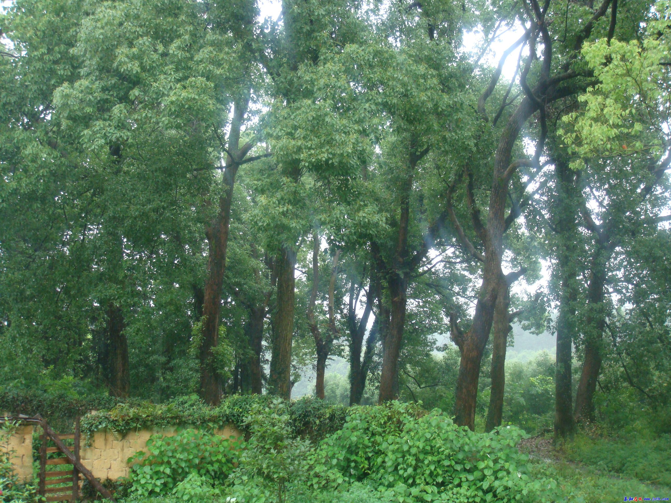 DSC02180.JPG