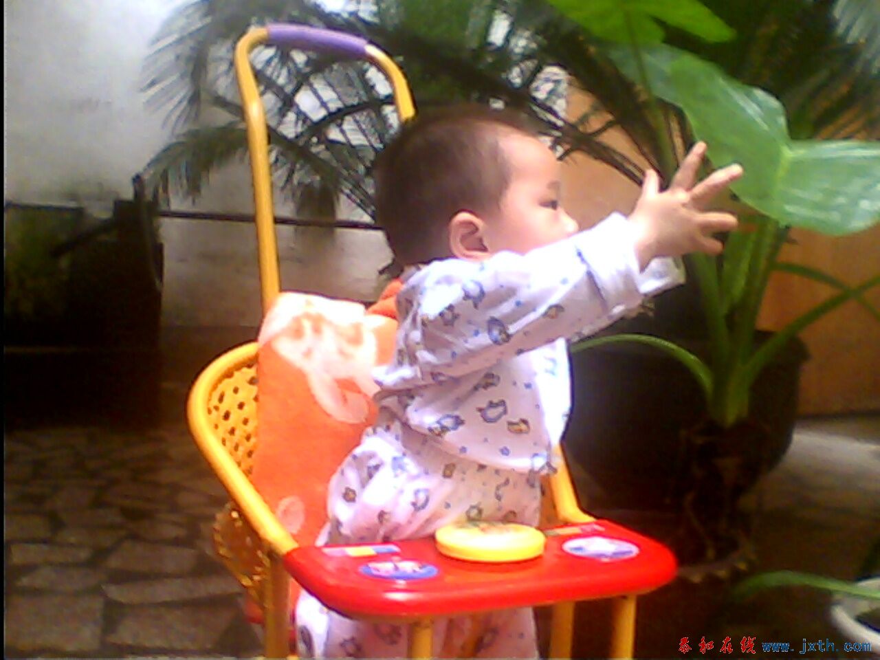 IMG0235A.jpg