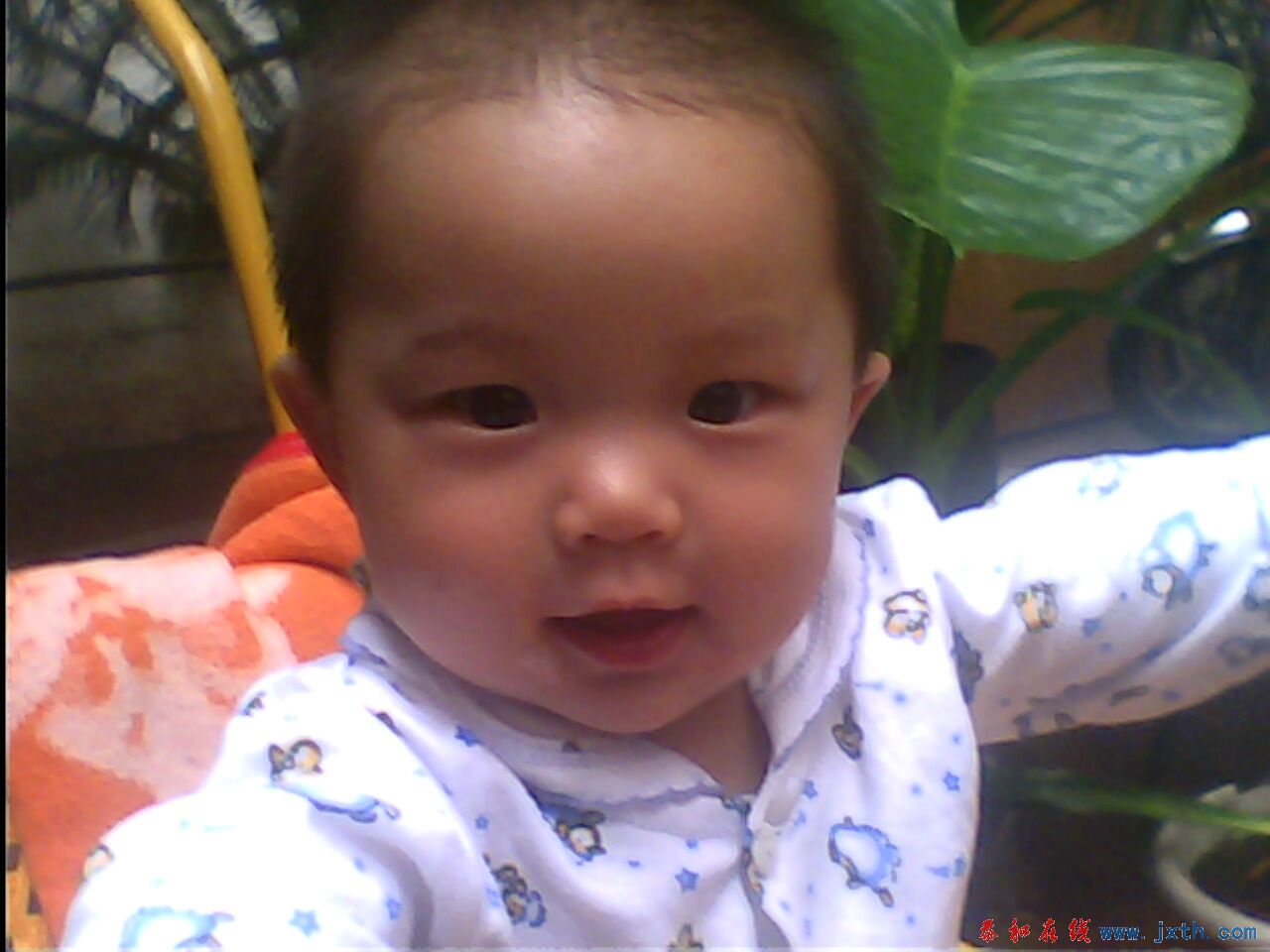 IMG0230A.jpg