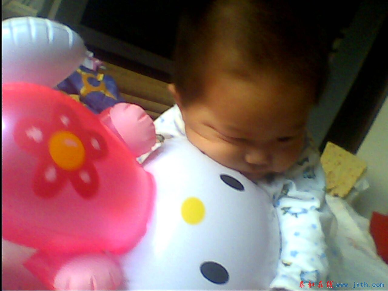IMG0258A.jpg