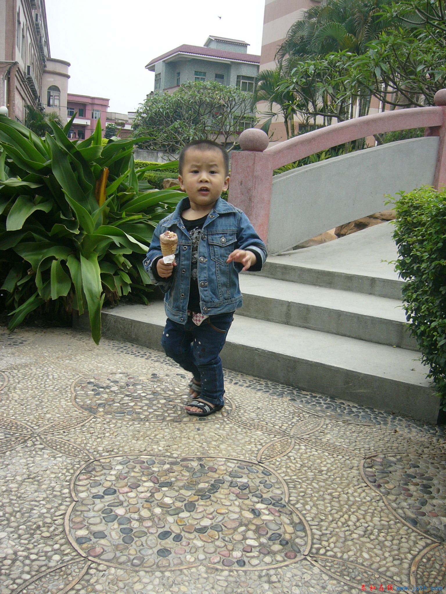 P1100120.JPG