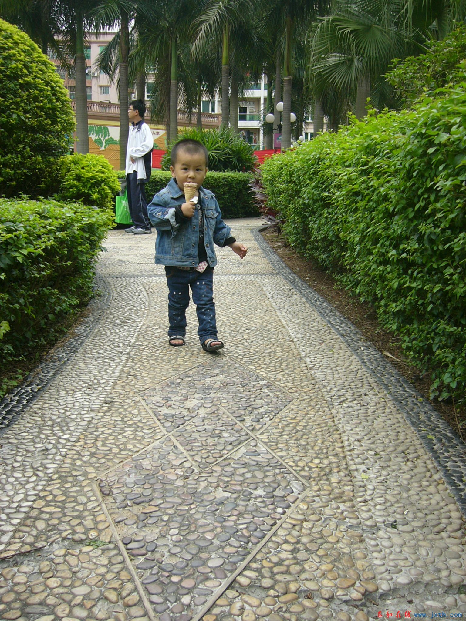 P1100121.JPG