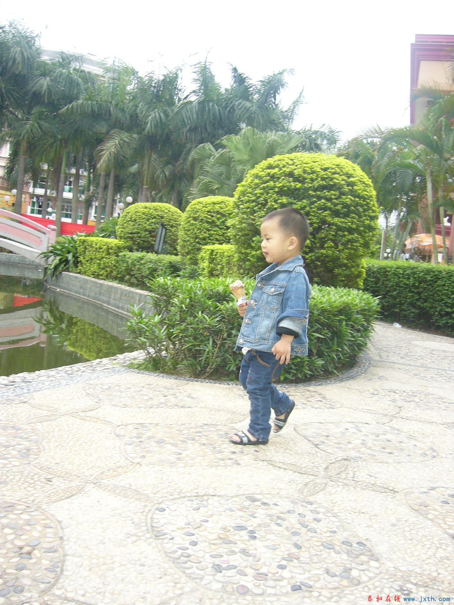 P1100123.JPG