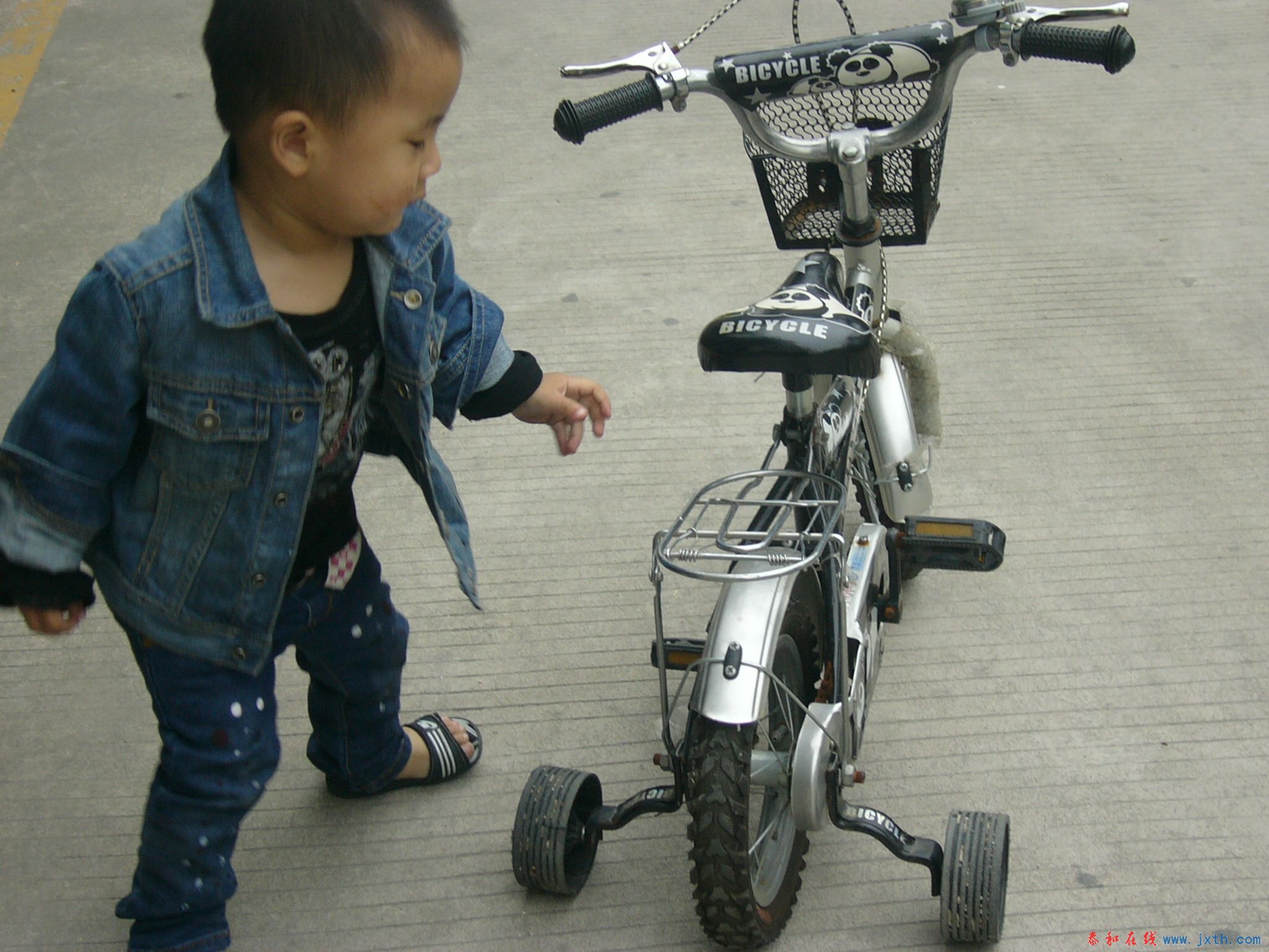 P1100145.JPG