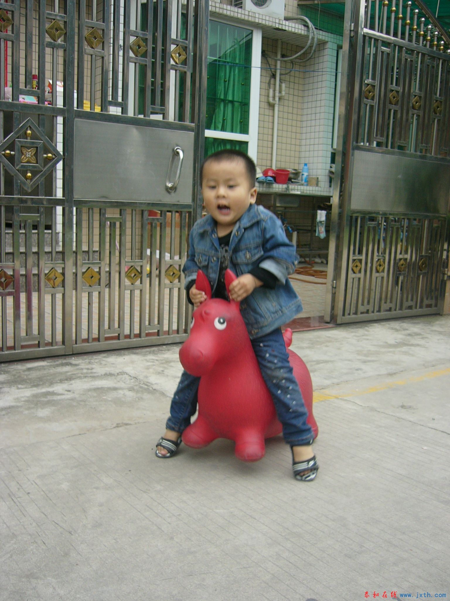 P1100149.JPG