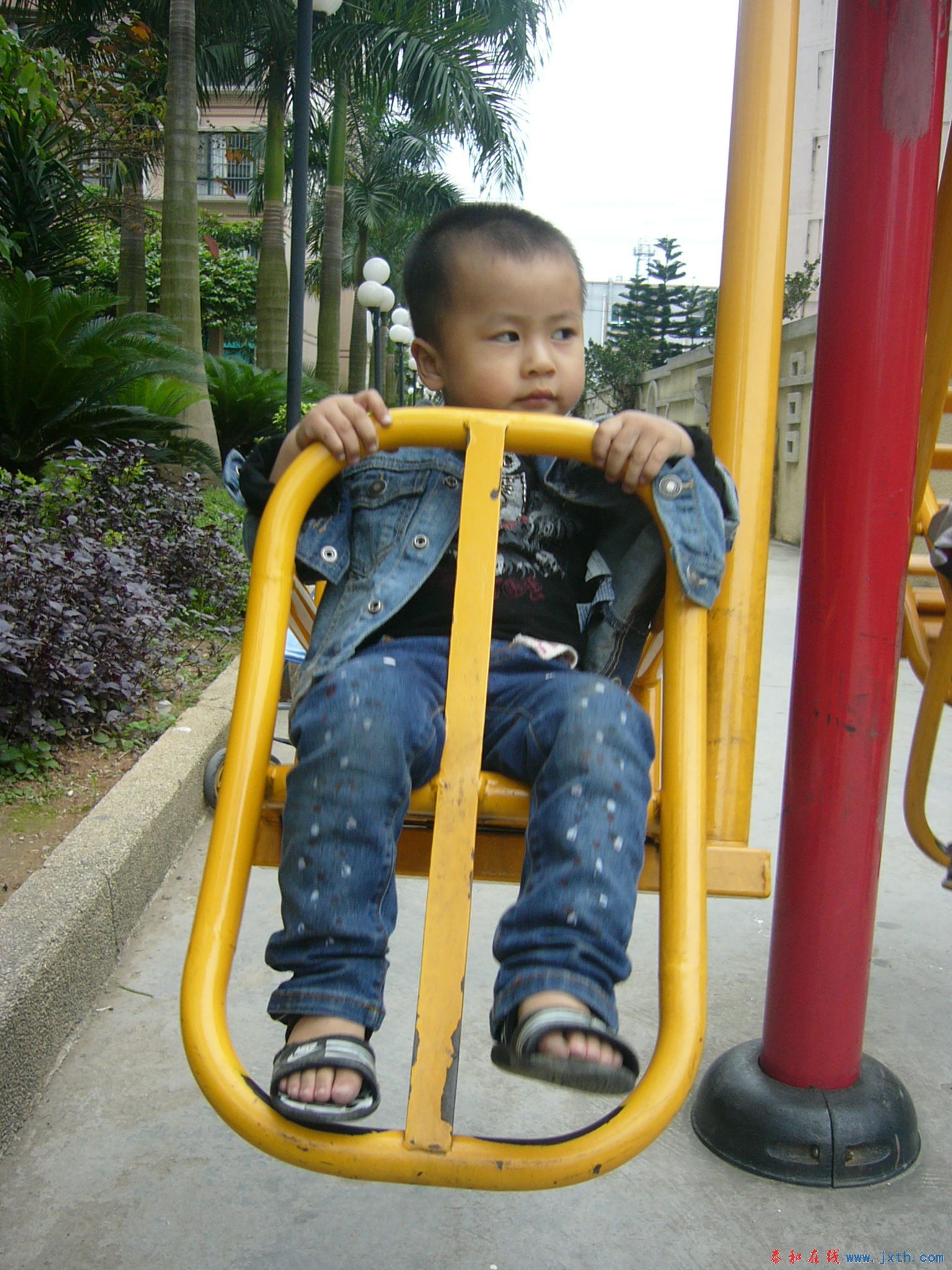 P1100199.JPG