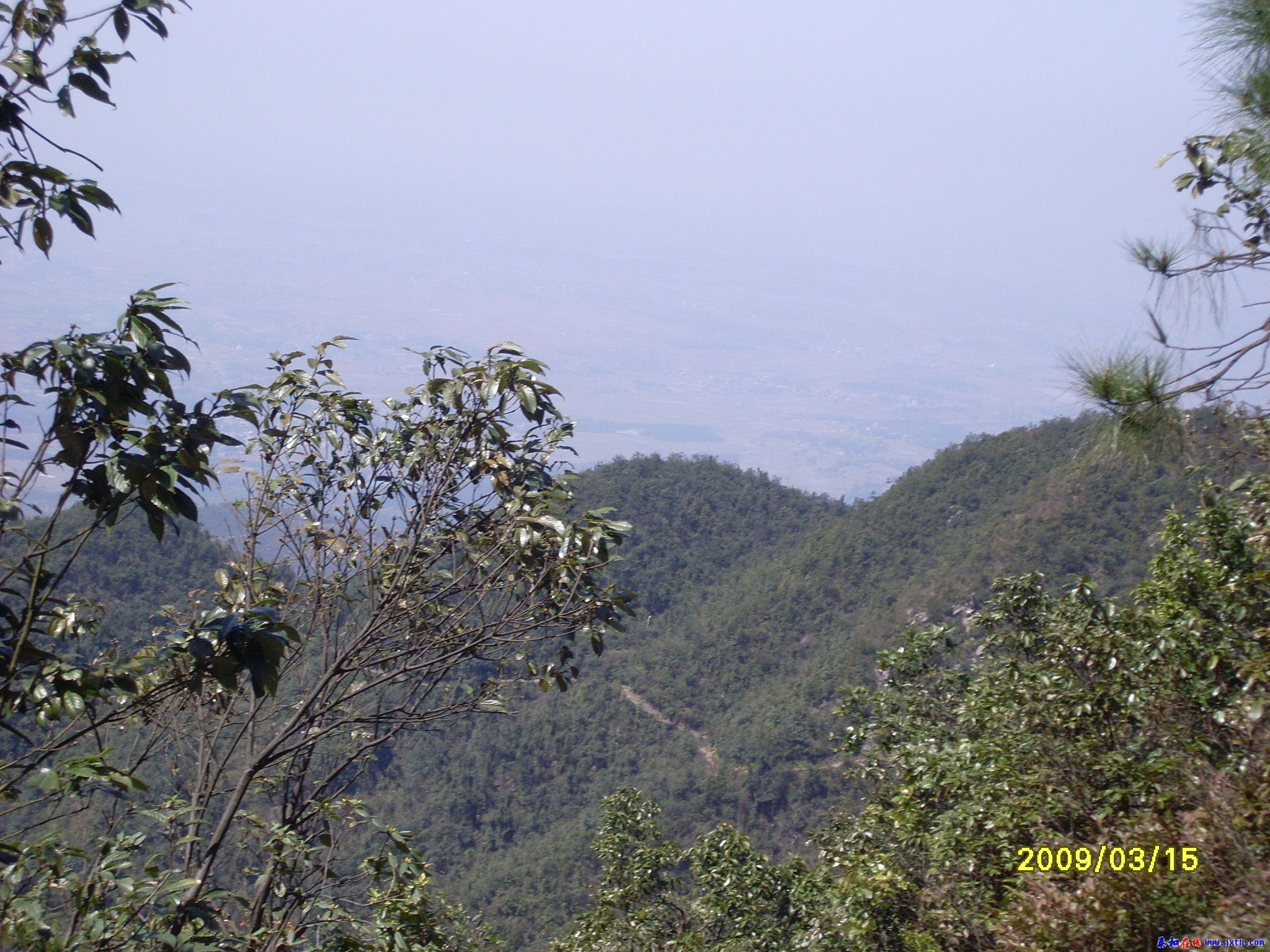 SL370750.JPG