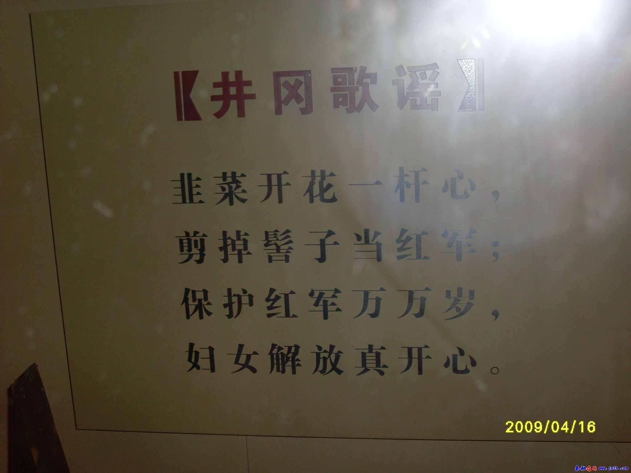 SL370953.JPG