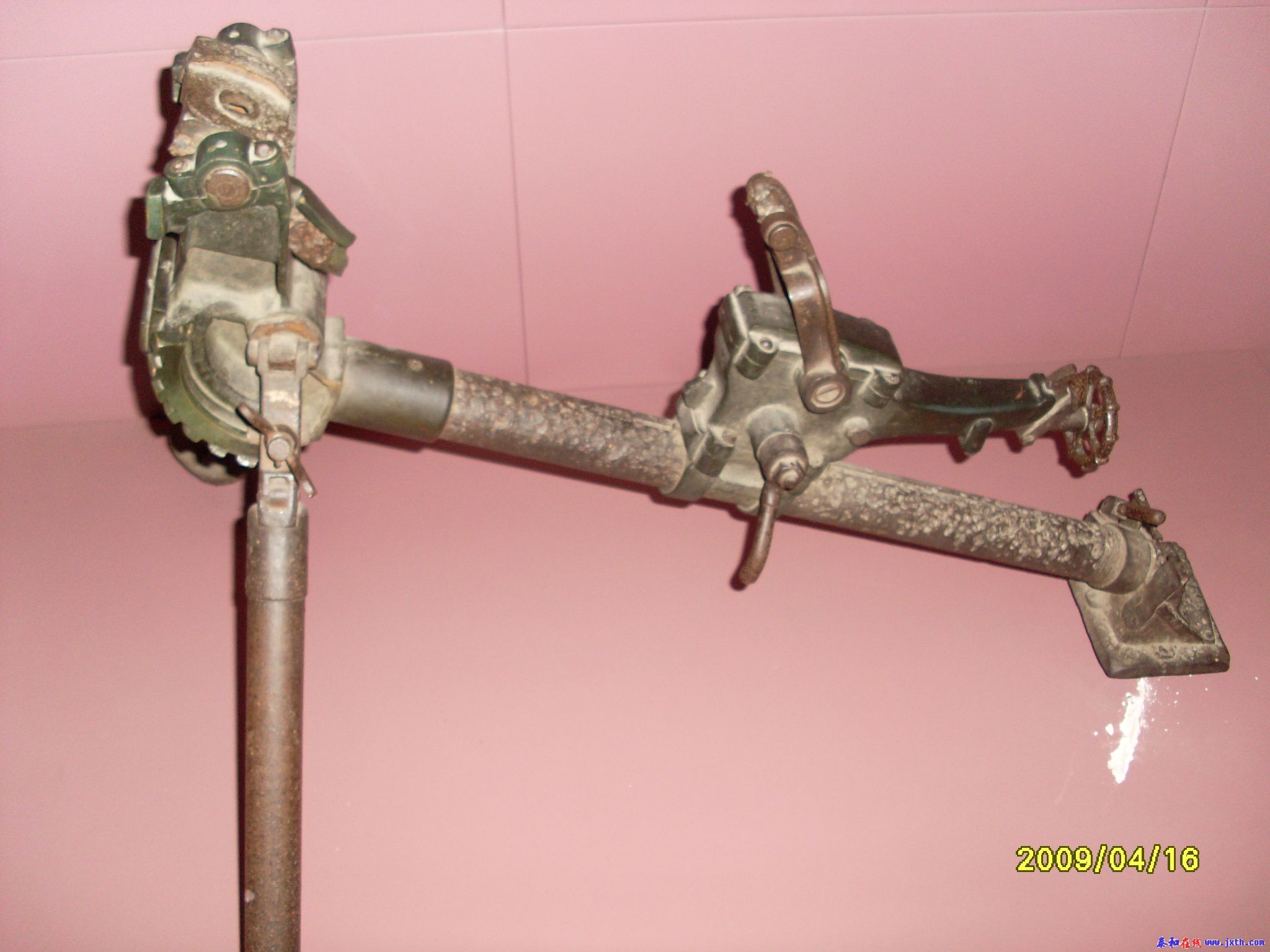 SL370963.JPG