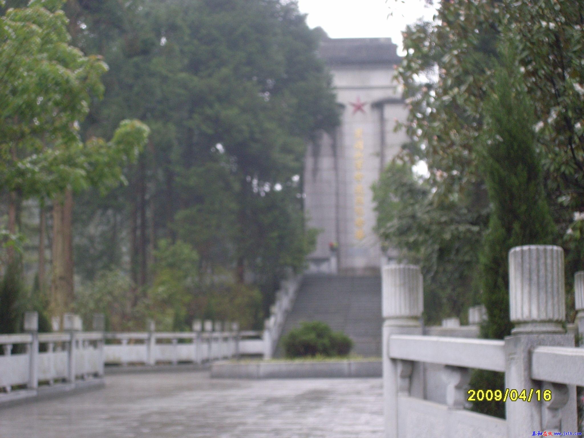 SL370977.JPG