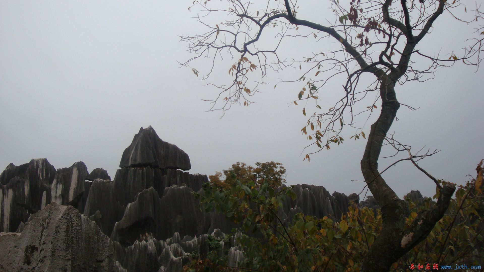 DSC05191.JPG