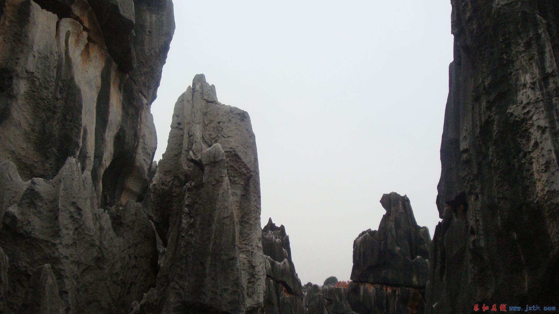 DSC05185.JPG