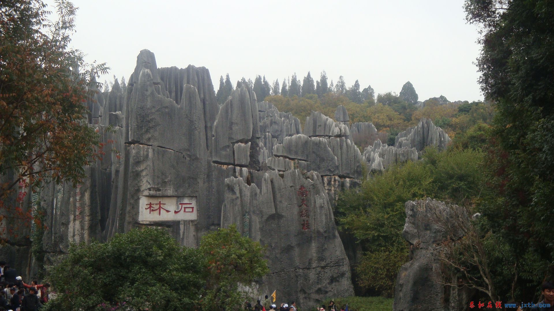 DSC05164.JPG