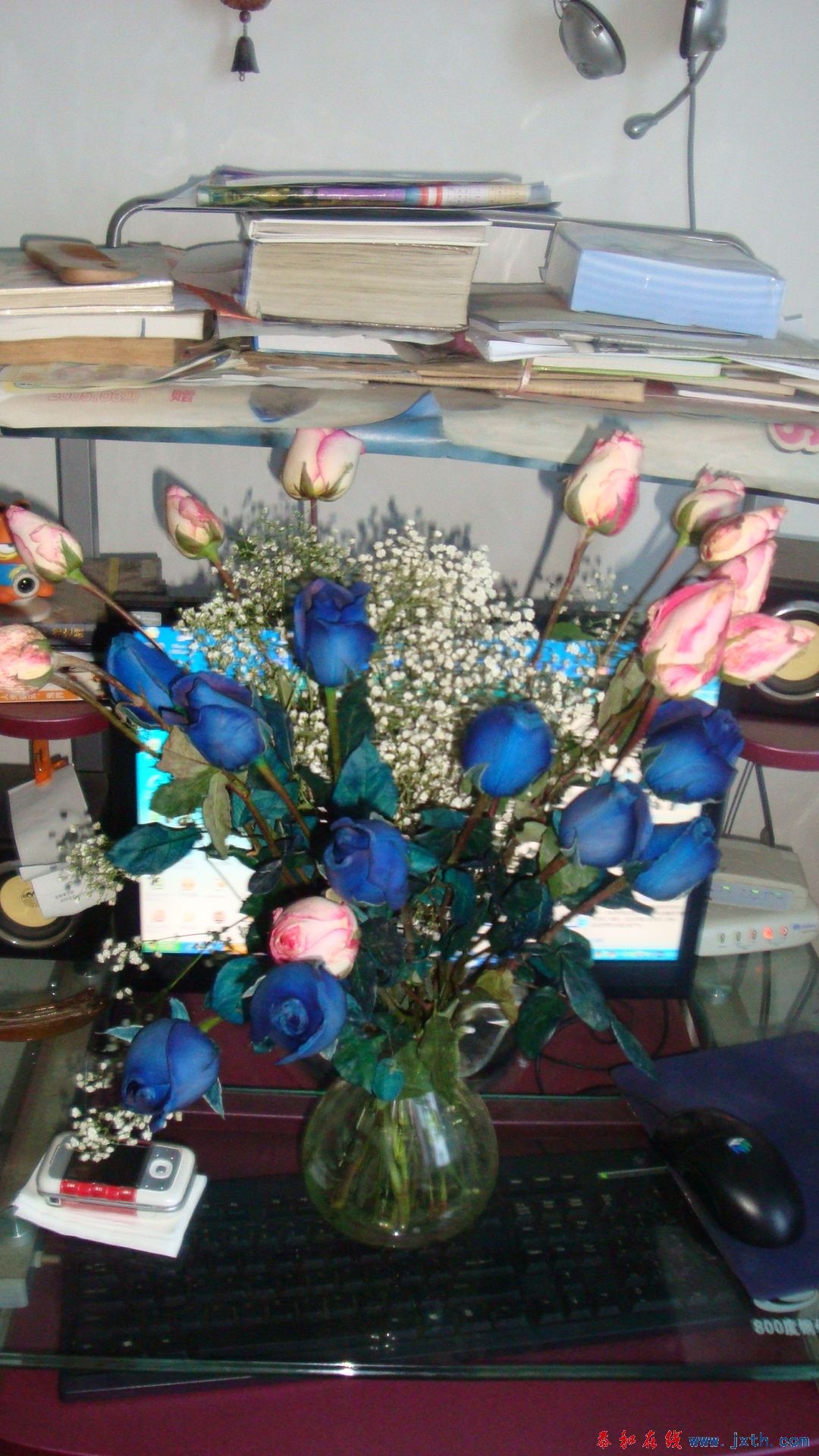 DSC05272.JPG
