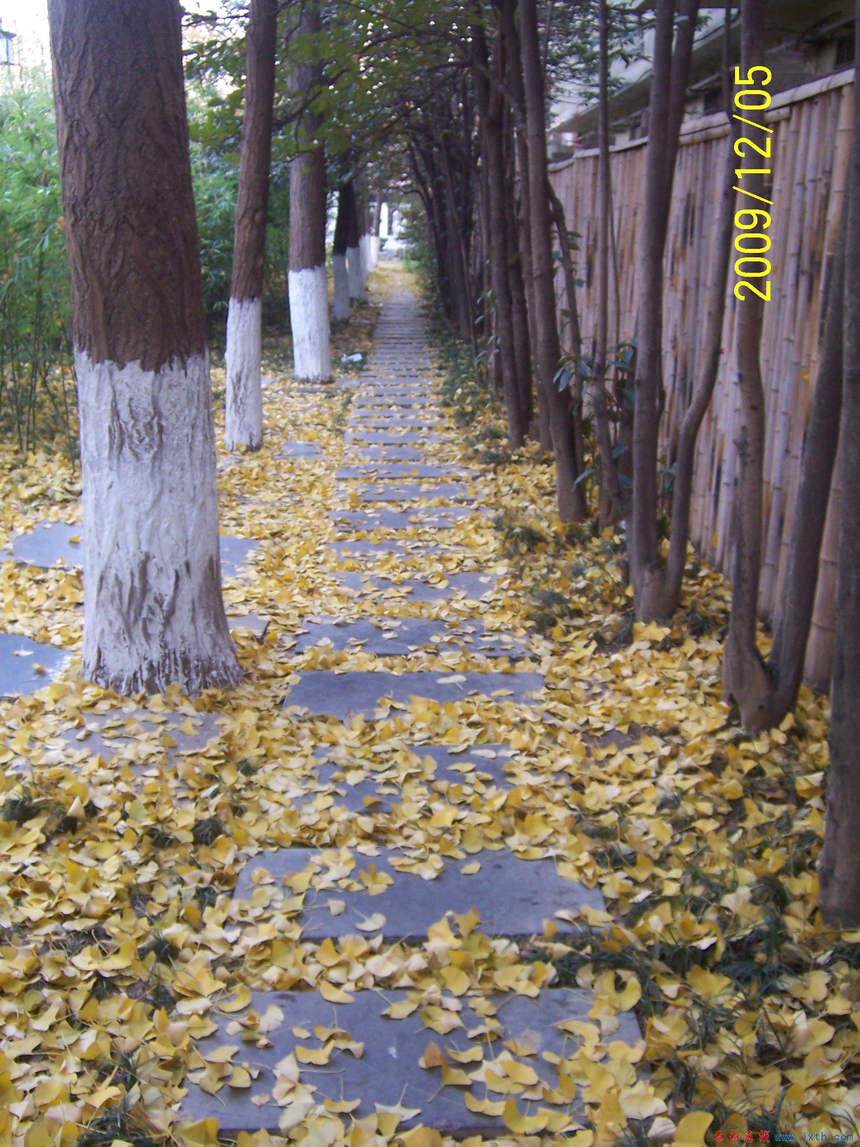 100_7619.jpg
