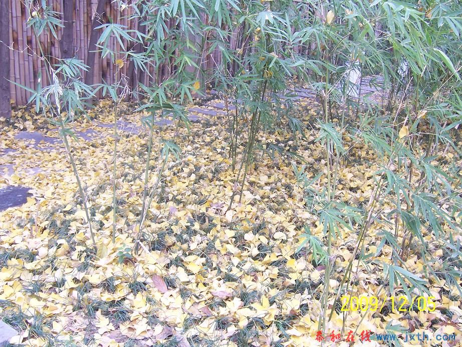 100_7620.jpg