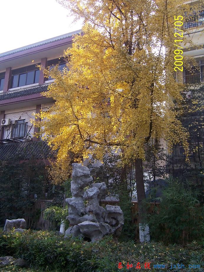 100_7615.jpg