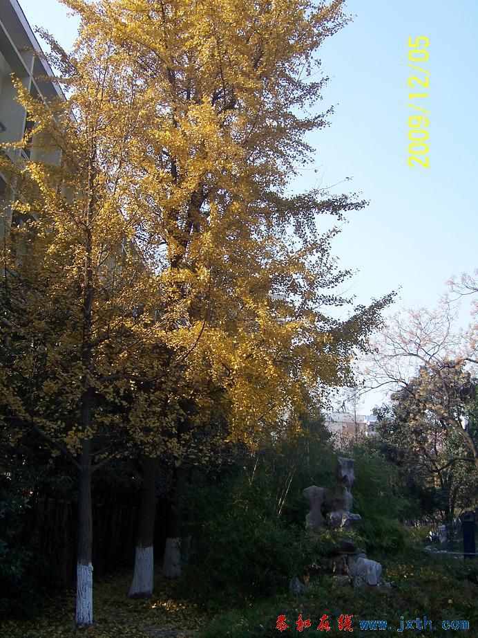 100_7616.jpg