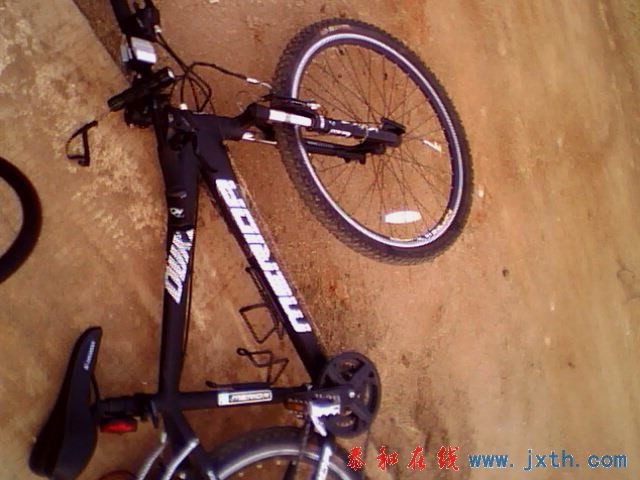 IMG0135A.jpg