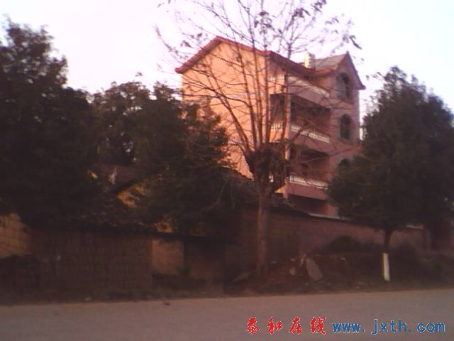 IMG0141A.jpg