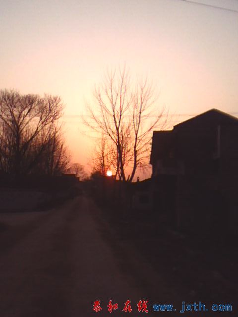 IMG0156A.jpg