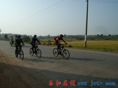 img010.jpg