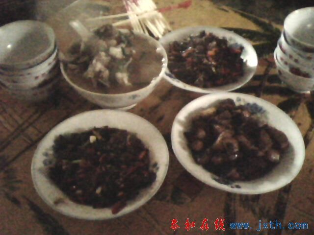 IMG0174A.jpg