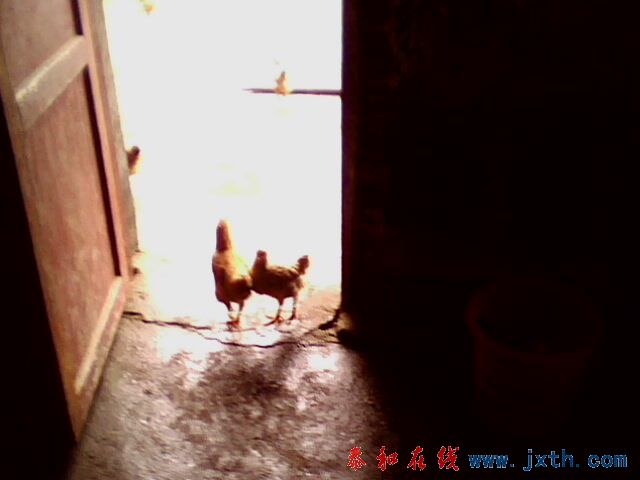 IMG0161A.jpg
