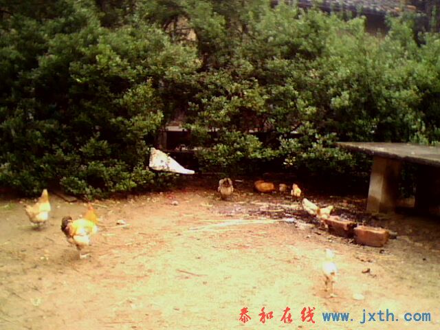 IMG0162A.jpg