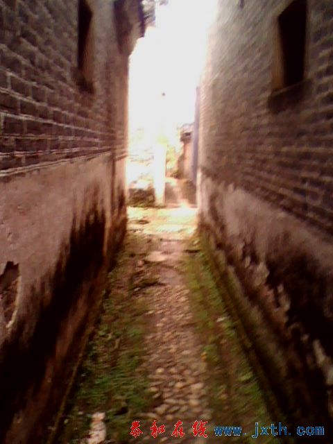 IMG0196A.jpg