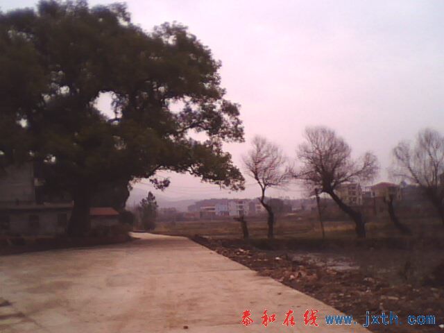 IMG0182A.jpg