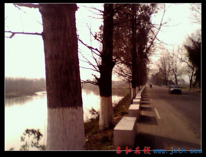 IMG0227A.jpg
